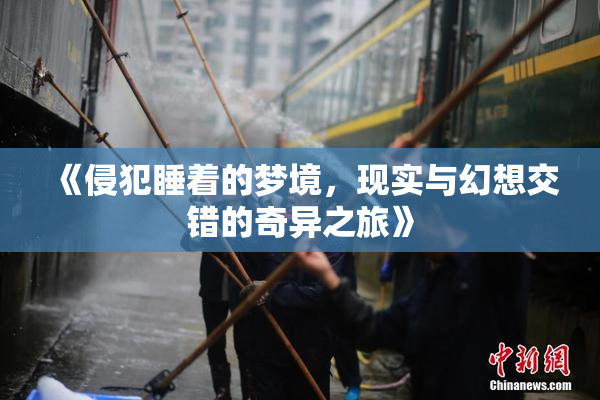 《侵犯睡着的梦境，现实与幻想交错的奇异之旅》