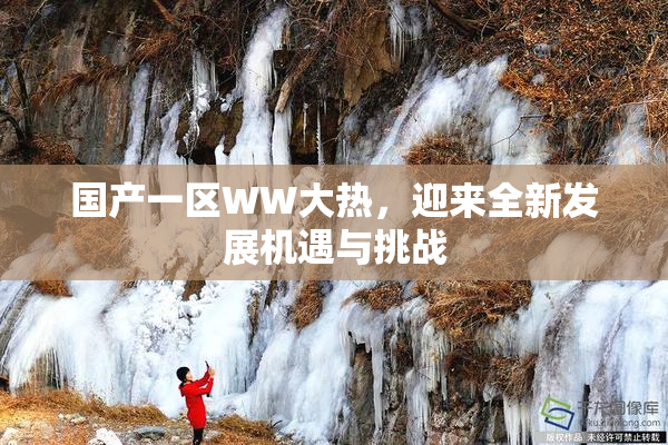 国产一区WW大热，迎来全新发展机遇与挑战