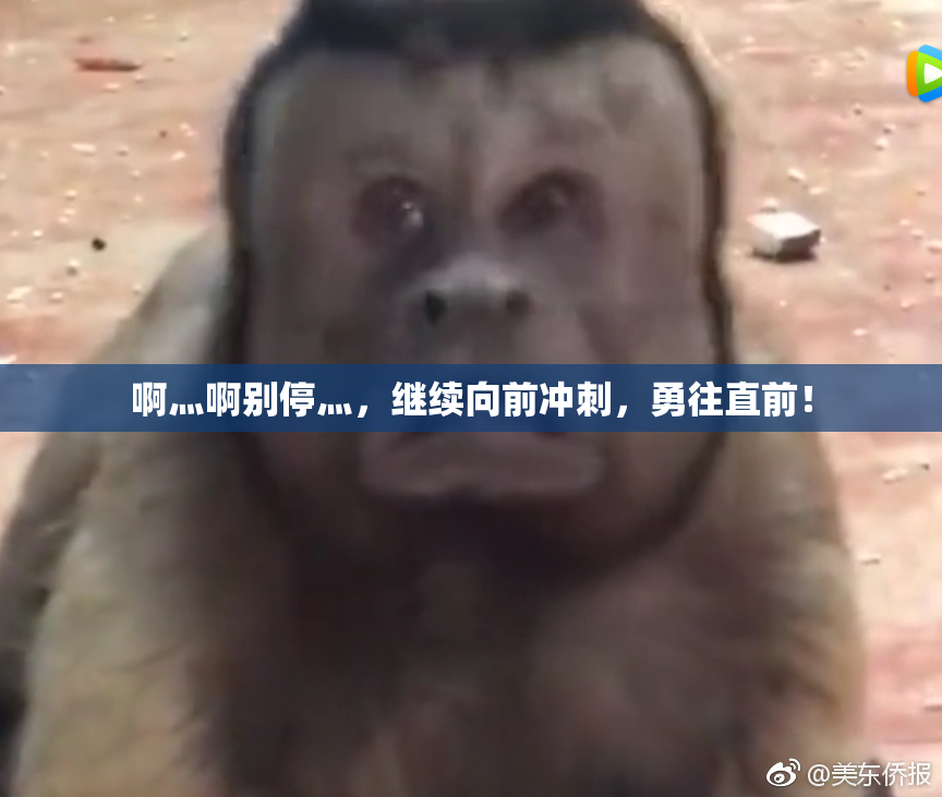 啊灬啊别停灬，继续向前冲刺，勇往直前！