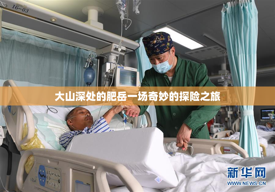 大山深处的肥岳一场奇妙的探险之旅