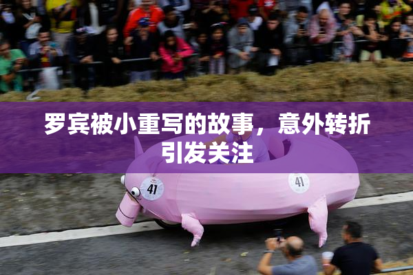 罗宾被小重写的故事，意外转折引发关注