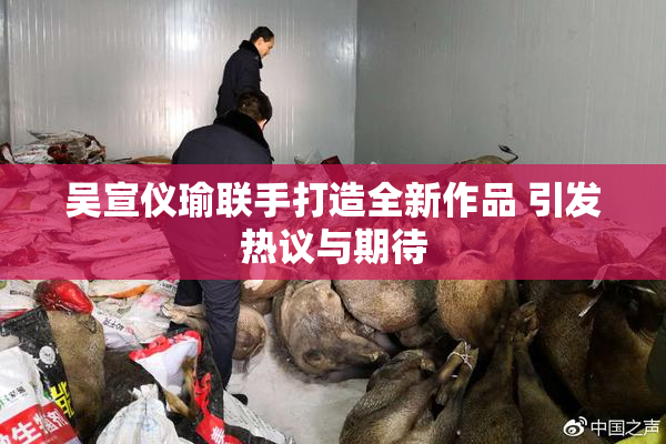 吴宣仪瑜联手打造全新作品 引发热议与期待