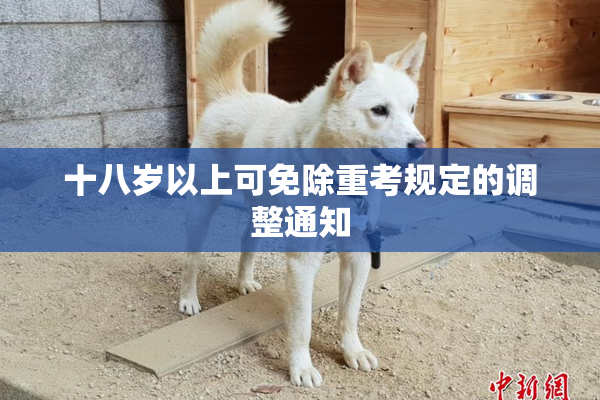 十八岁以上可免除重考规定的调整通知