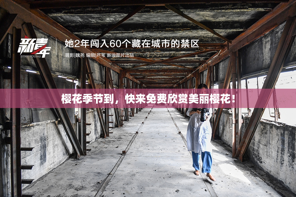 樱花季节到，快来免费欣赏美丽樱花！
