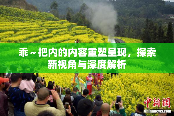 乖～把内的内容重塑呈现，探索新视角与深度解析