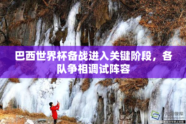 巴西世界杯备战进入关键阶段，各队争相调试阵容