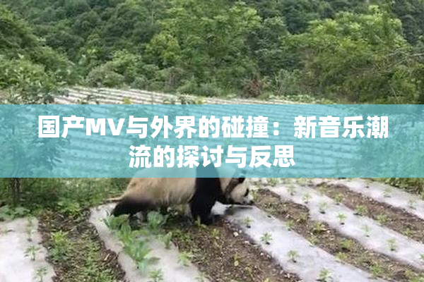 国产MV与外界的碰撞：新音乐潮流的探讨与反思