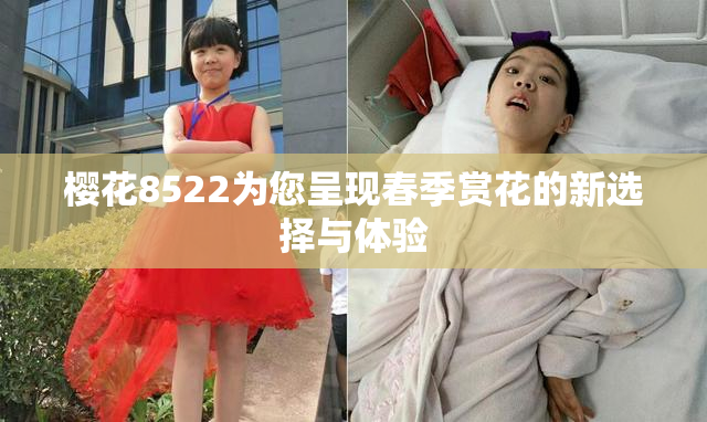 樱花8522为您呈现春季赏花的新选择与体验