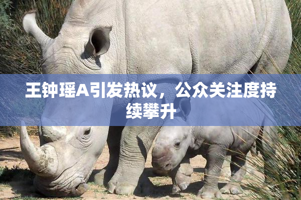 王钟瑶A引发热议，公众关注度持续攀升