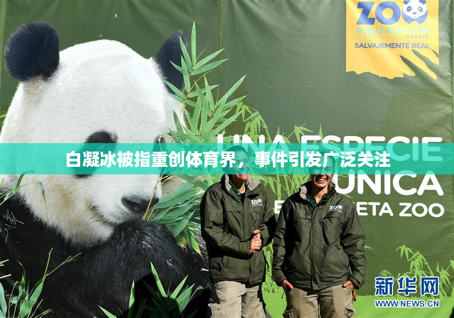 白凝冰被指重创体育界，事件引发广泛关注