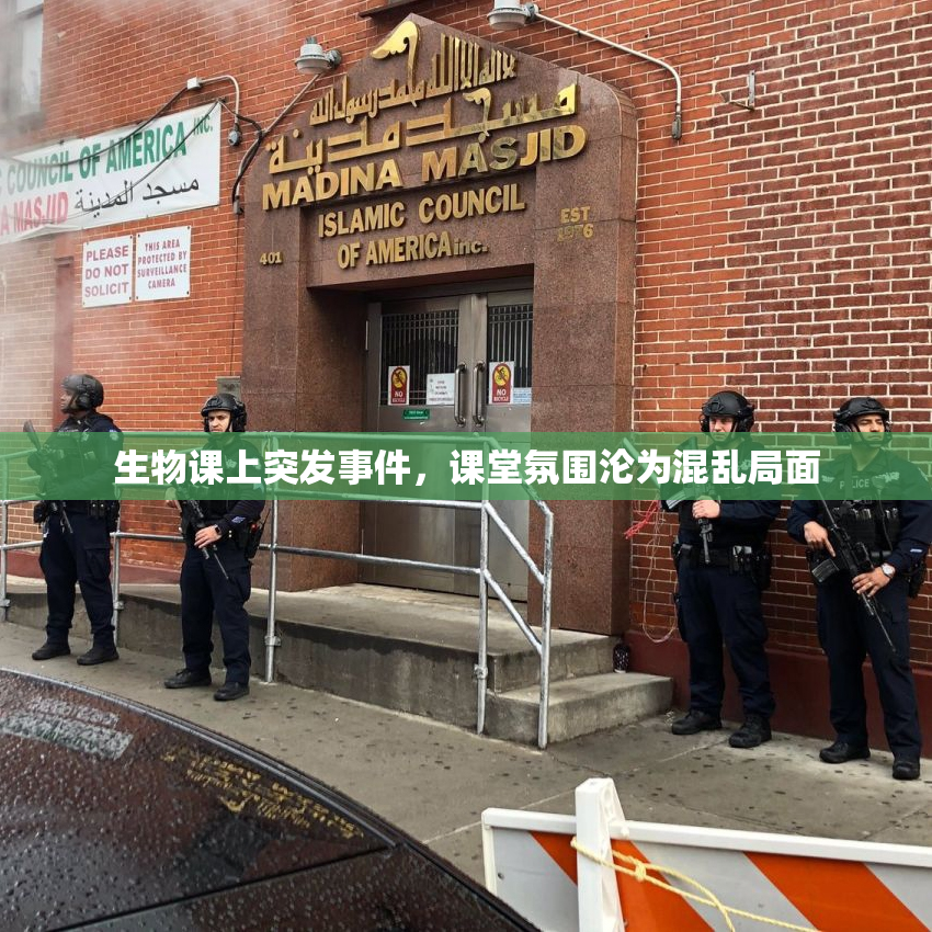 生物课上突发事件，课堂氛围沦为混乱局面