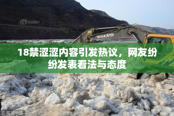 18禁涩涩内容引发热议，网友纷纷发表看法与态度