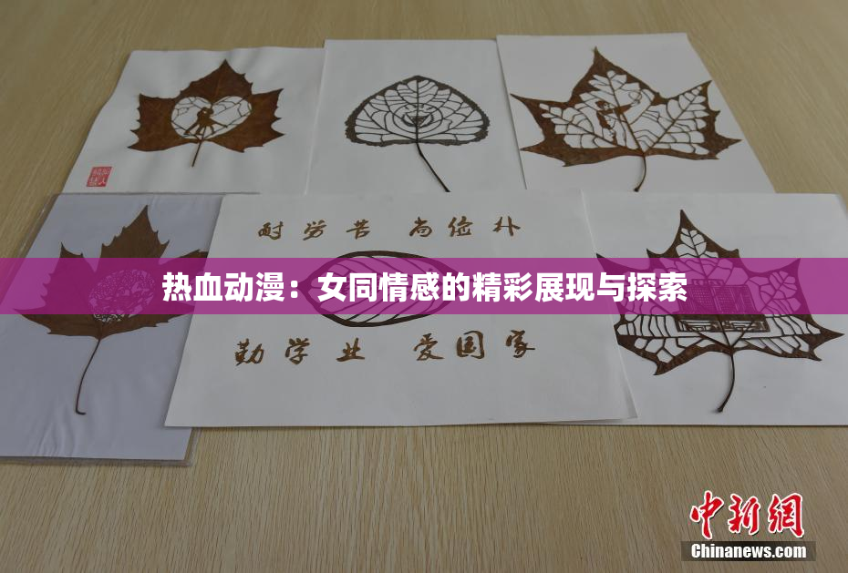 热血动漫：女同情感的精彩展现与探索