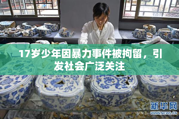 17岁少年因暴力事件被拘留，引发社会广泛关注
