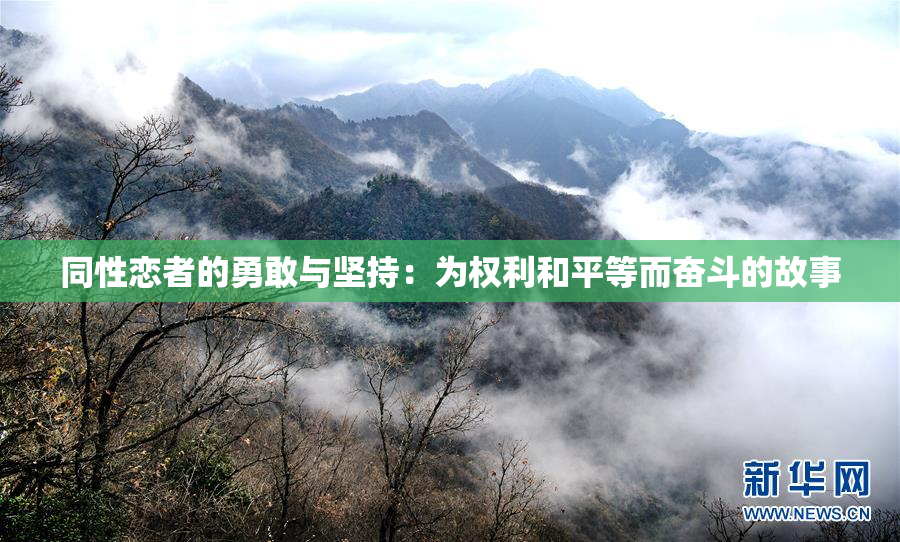 同性恋者的勇敢与坚持：为权利和平等而奋斗的故事