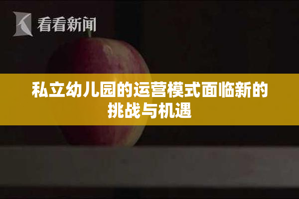 私立幼儿园的运营模式面临新的挑战与机遇