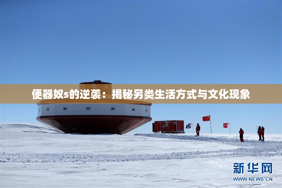 便器奴s的逆袭：揭秘另类生活方式与文化现象