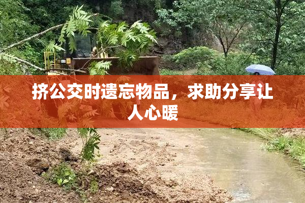 挤公交时遗忘物品，求助分享让人心暖