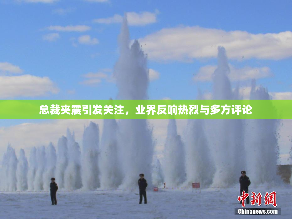 总裁夹震引发关注，业界反响热烈与多方评论