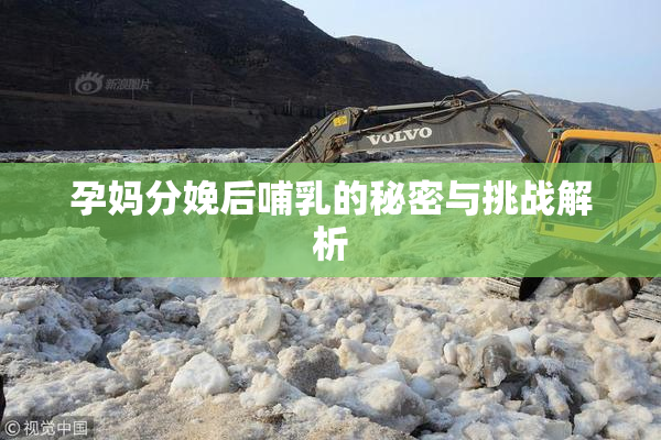 孕妈分娩后哺乳的秘密与挑战解析