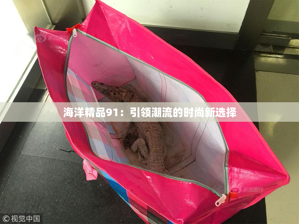 海洋精品91：引领潮流的时尚新选择