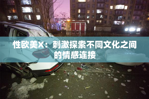 性欧美X：刺激探索不同文化之间的情感连接