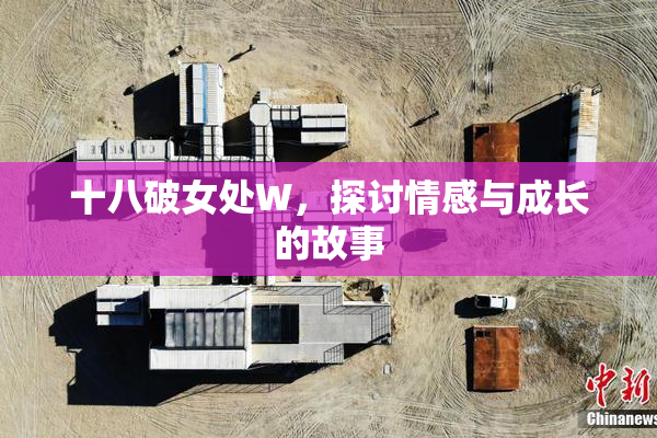 十八破女处W，探讨情感与成长的故事