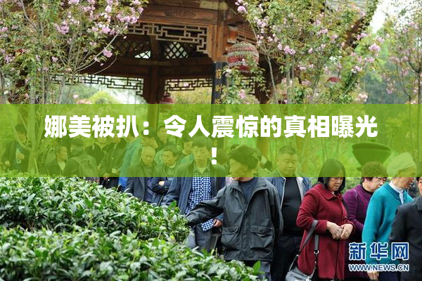 娜美被扒：令人震惊的真相曝光！