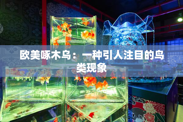 欧美啄木乌：一种引人注目的鸟类现象