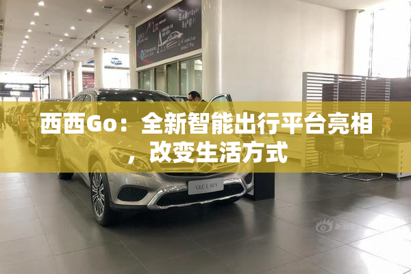 西西Go：全新智能出行平台亮相，改变生活方式