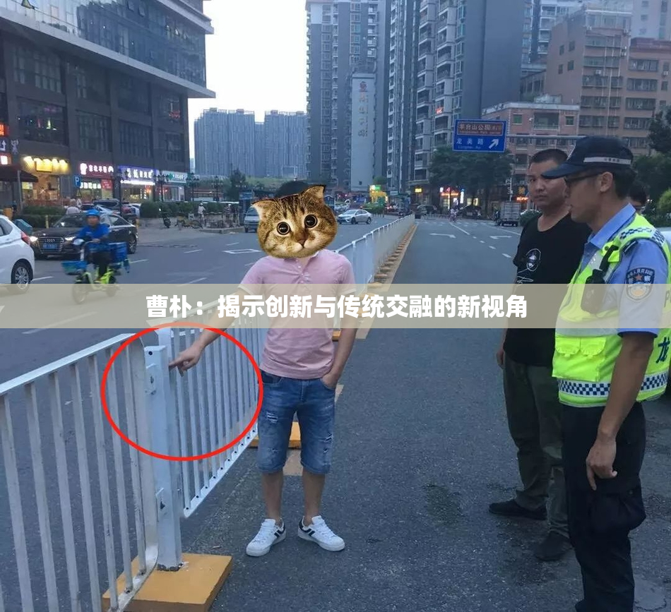 曹朴：揭示创新与传统交融的新视角