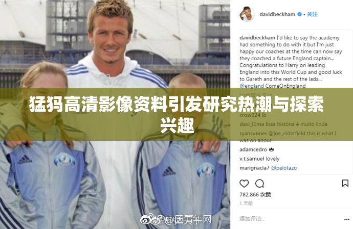 猛犸高清影像资料引发研究热潮与探索兴趣