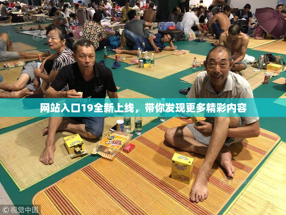 网站入口19全新上线，带你发现更多精彩内容