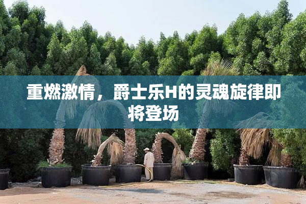 重燃激情，爵士乐H的灵魂旋律即将登场