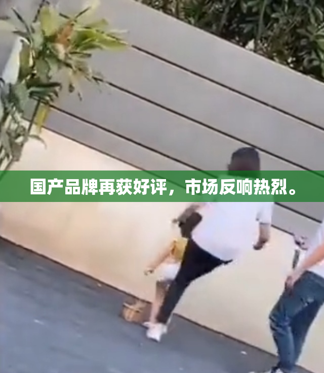 国产品牌再获好评，市场反响热烈。