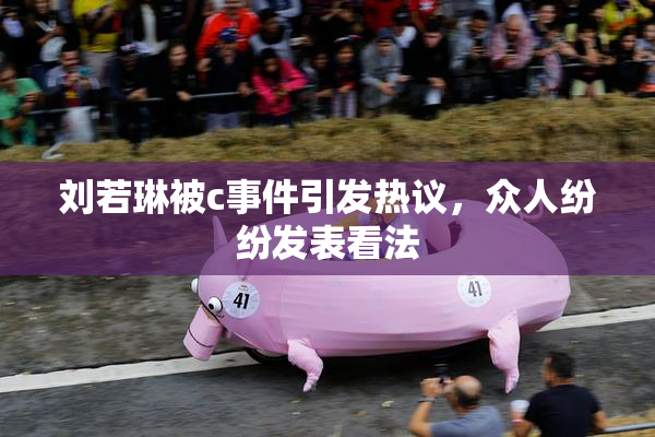 刘若琳被c事件引发热议，众人纷纷发表看法