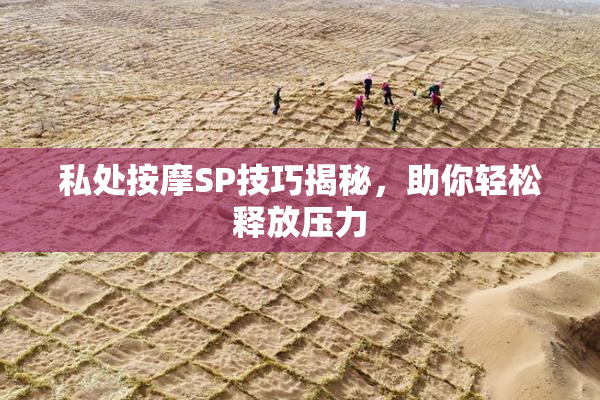 私处按摩SP技巧揭秘，助你轻松释放压力