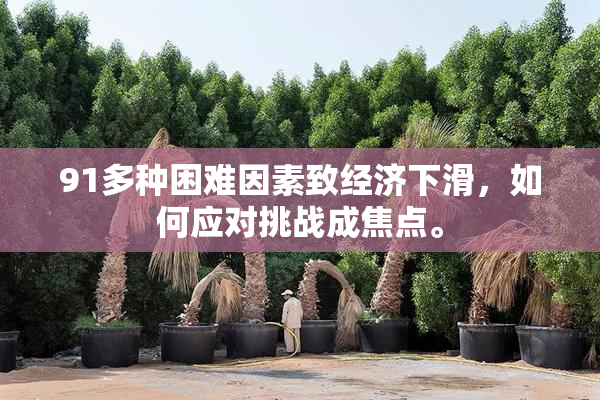 91多种困难因素致经济下滑，如何应对挑战成焦点。