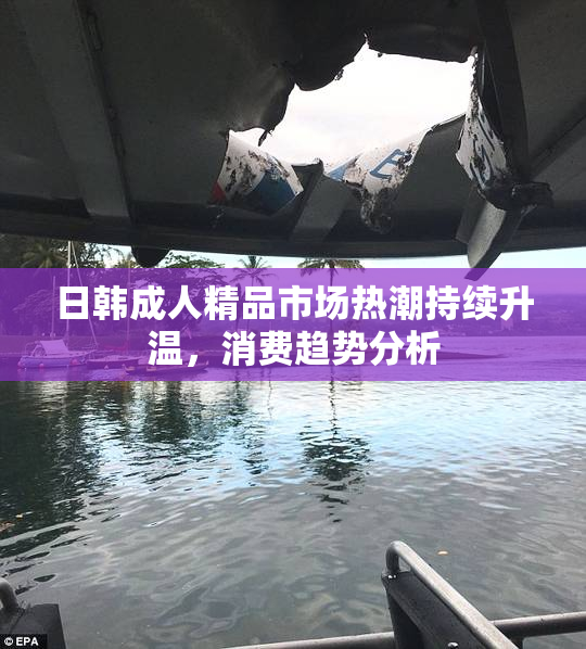 日韩成人精品市场热潮持续升温，消费趋势分析