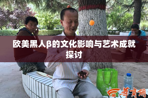 欧美黑人β的文化影响与艺术成就探讨