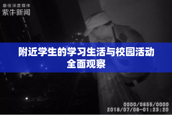 附近学生的学习生活与校园活动全面观察