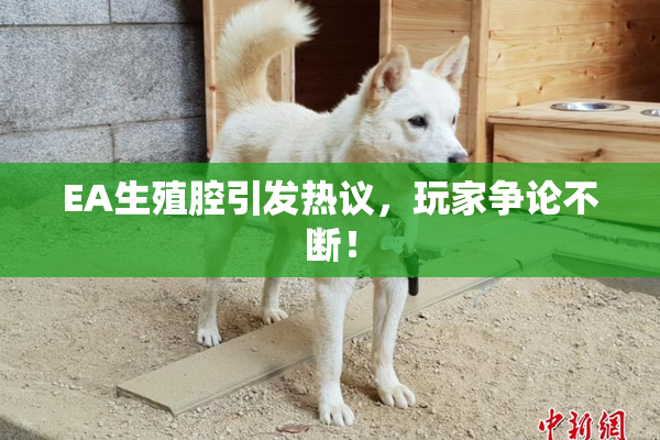 EA生殖腔引发热议，玩家争论不断！