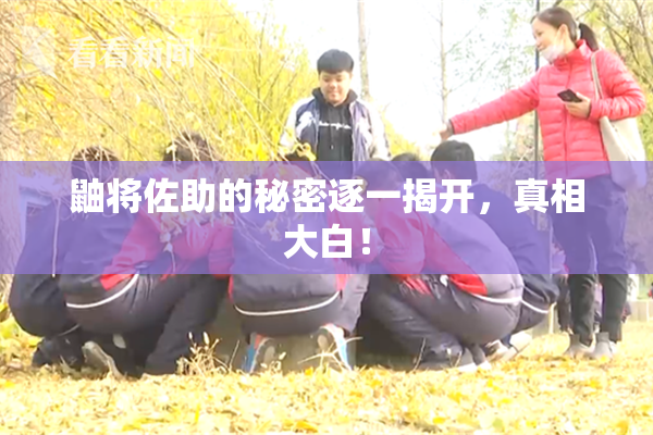 鼬将佐助的秘密逐一揭开，真相大白！