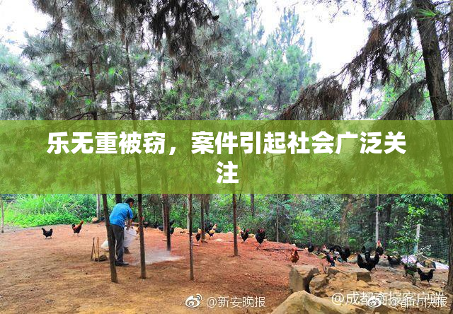 乐无重被窃，案件引起社会广泛关注