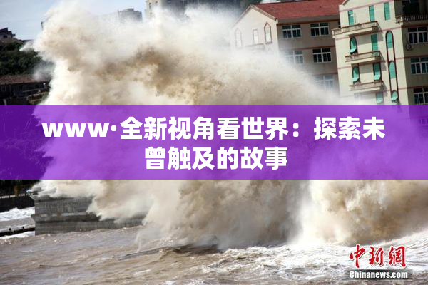 www·全新视角看世界：探索未曾触及的故事