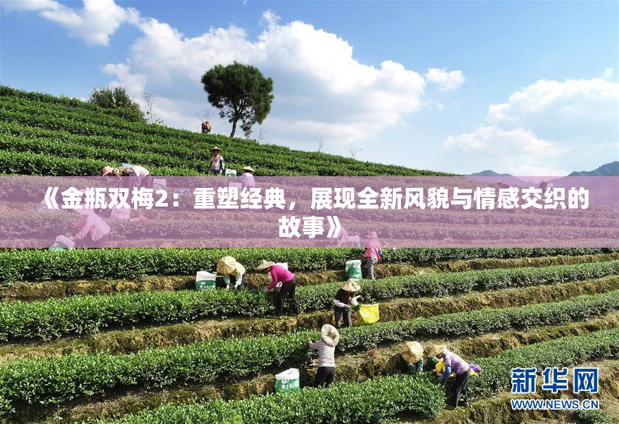 《金瓶双梅2：重塑经典，展现全新风貌与情感交织的故事》