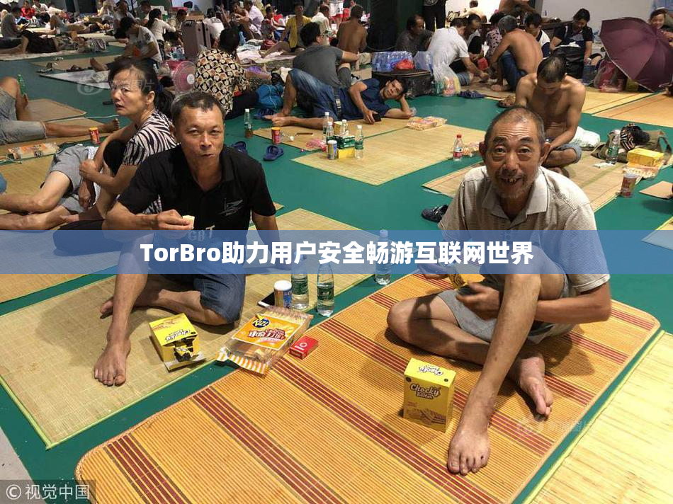 TorBro助力用户安全畅游互联网世界