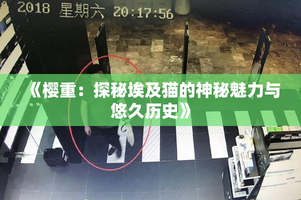 《樱重：探秘埃及猫的神秘魅力与悠久历史》