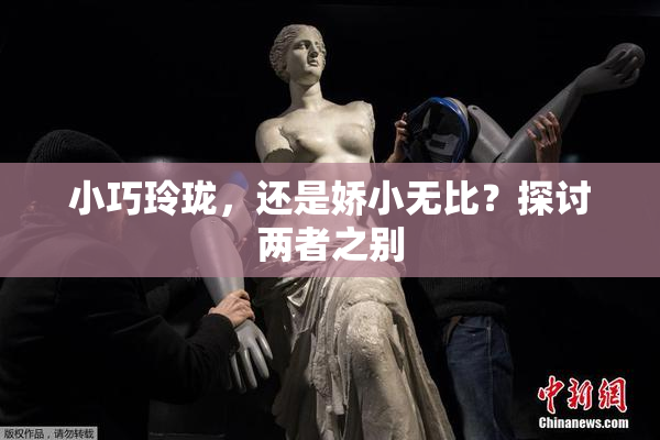 小巧玲珑，还是娇小无比？探讨两者之别