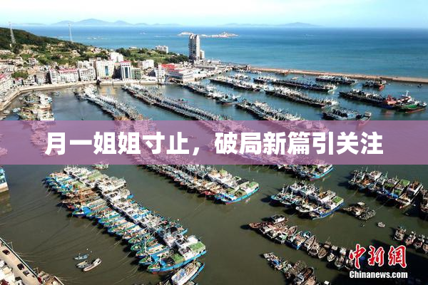 月一姐姐寸止，破局新篇引关注